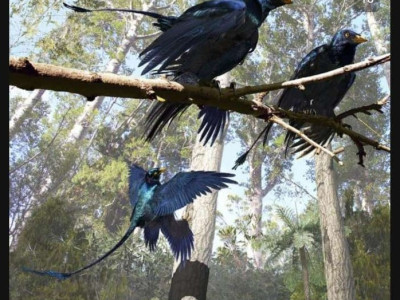 색깔이 밝혀진 공룡