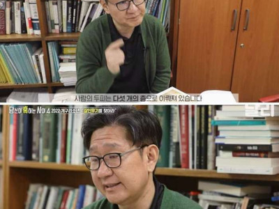 개구리 소년 흉기 실험