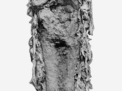 이집트 미라 보존 수준 ㄷㄷㄷ..jpg