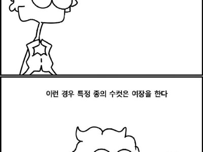 동물들이 여장을 하는 이유 manhwa
