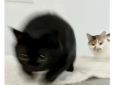 인스타 알고리즘에 뜬 웃대인이 그린 그림 .jpg