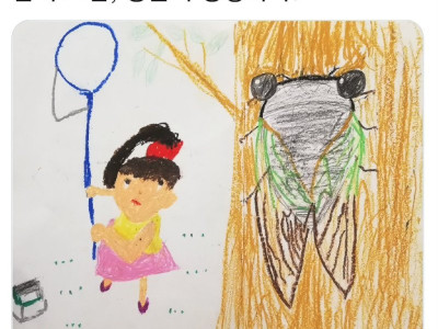 어느 초딩의 엄청난 매미그림