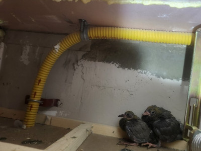 새 아파트 근황