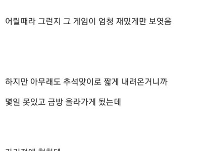 사촌형이 어렸을때 하던 게임 이름 안가르쳐준 이유