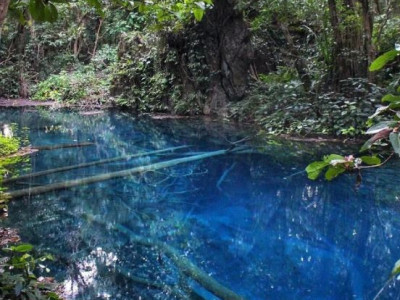 인터넷은 모든걸 알고 있다 4