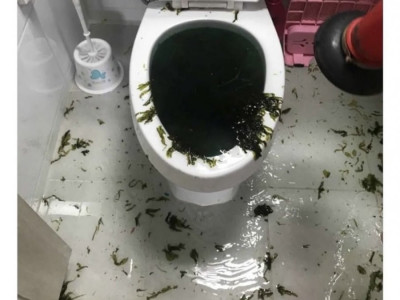 망한 미역국 변기에..jpg