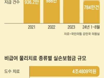 실손보험 근황ㄷㄷㄷ.jpg