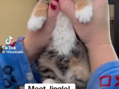 임신안되려나..