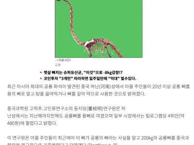 인류는 공룡뼈를 끓여먹었다?