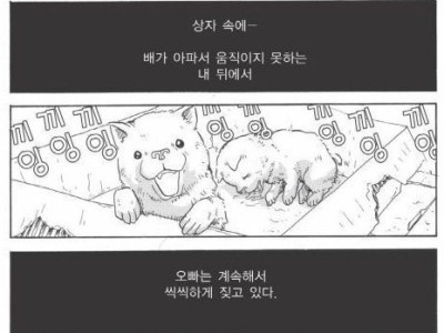 할머니와 새끼 강아지.manhwa