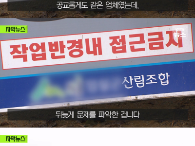 아버지 묘소가 사라졌다고 연락받은 사람