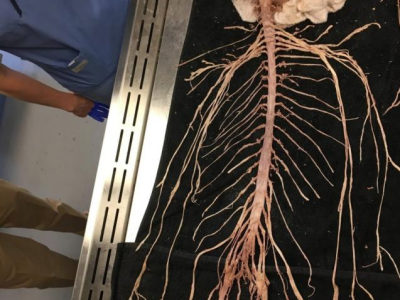 약혐 ) 우리의 진정한 본체