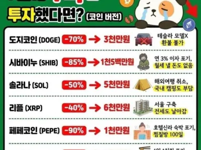 올해 7월에 1억을 코인에 투자했다면?