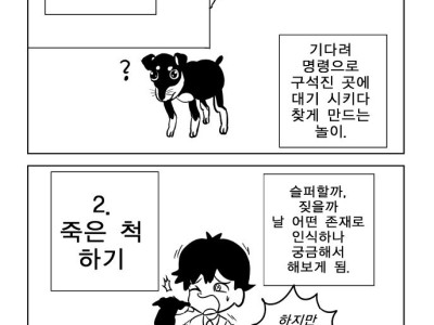 애완견이랑 놀 때 한번쯤 해본 것 만화