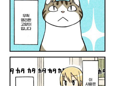 고양이 키우는 만화