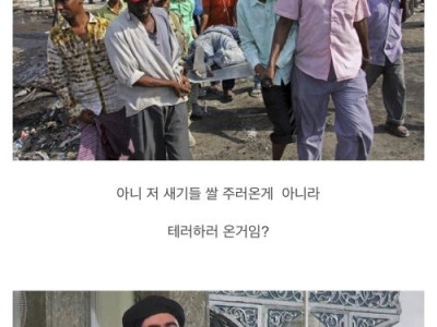 IS의 소말리아 진출기