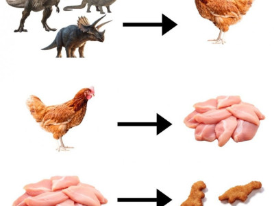 윤회가 존재한다는 증거.jpg