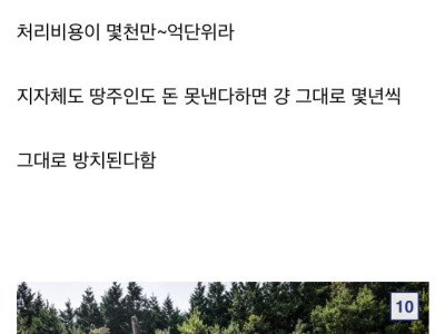 일본에 있는 무덤들의 무덤.jpg