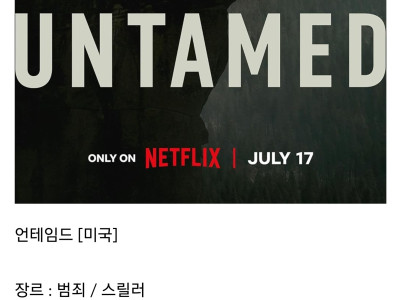 올해 반응 좋았던 넷플릭스 드라마