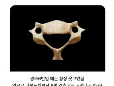 우리 몸에서 제일 귀여운 뼈