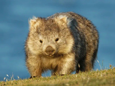 알바 갔다가 쁘락치 잡은 썰.manhwa