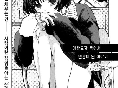 죽은 고양이가 인간이 되어 돌아온 만화