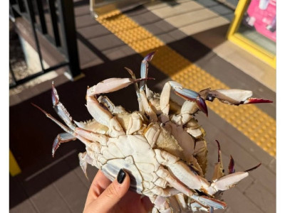 바닷가 메가커피에서 친절한 매니저로 일하면 받는 것