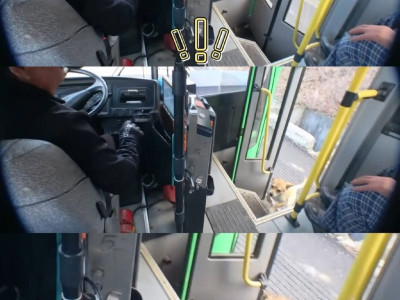 친구 만나러 버스 타고 가개