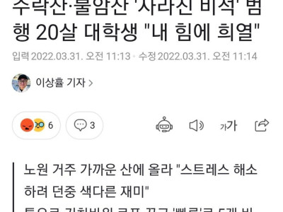 '수도권 산속 미스터리 비석 파괴범 검거'