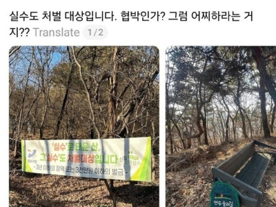 산불충.jpg