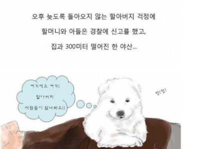 아기풍산개의 훈훈한 일화.manhwa