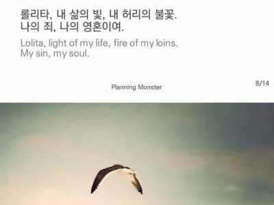 최고의 소설 도입부 TOP 10