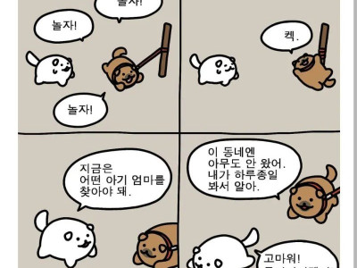 아가고양이 엄마 찾아주는 만화