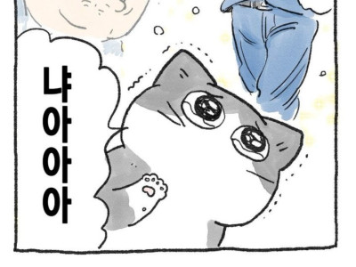 고양이로 환생한  만화