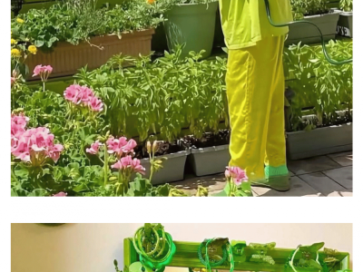 20년 넘게 온 몸을 초록색으로 꾸민채 살고있는 80대 할매