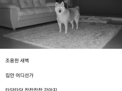 강아지 키우는 집 공감 ㅋㅋㅋㅋ