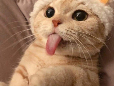 공포)한밤중에 괴생명체와 마주하는 만화