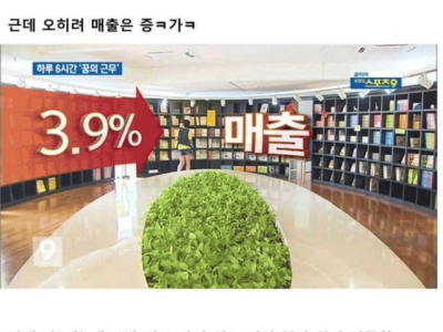 질의 삶이 상승하는 방법