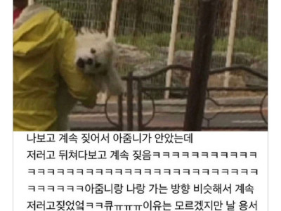 동네 한 성깔 하는 말티즈가 있는데