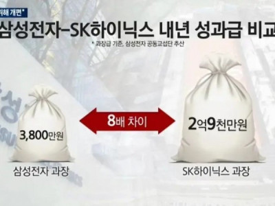 하이닉스 삼전 성과급 비교