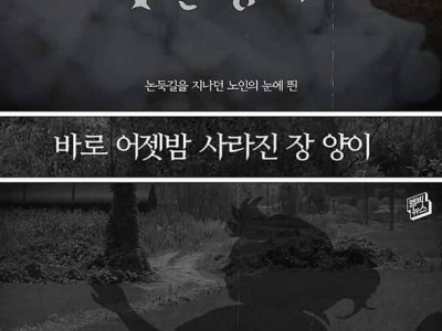 파출소장 딸 살인 조작 사건