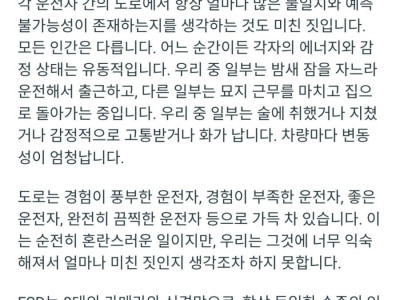 몇달간 99% FSD로 운전한 테슬라 차주가 깨달은 것