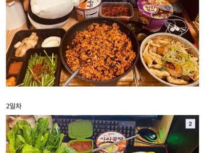 하루 한 끼 먹으면서 운동하는데 오히려 살찐다는 디시인