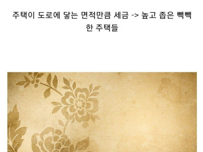 세금을 내지 않기 위한 처절한 몸부림