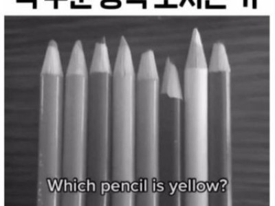 여기서 노란색 찾으면 색 구분 능력 오지는 거