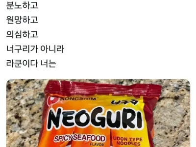 미국 라쿤 라면 후기.jpg