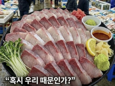 요즘 노량진 방어 가격 미쳐버린 근황