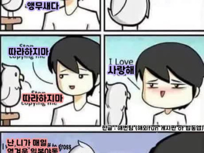 앵무새에게 말 가르치는.manhwa