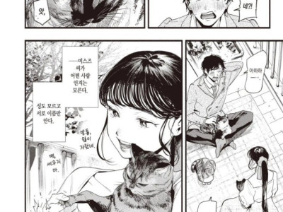 고양이에 대해 배우는 만화