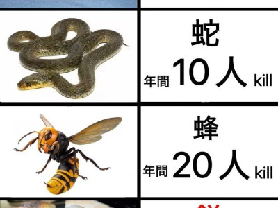 일본에서 매년 사람을 제일 많이 죽이는 것